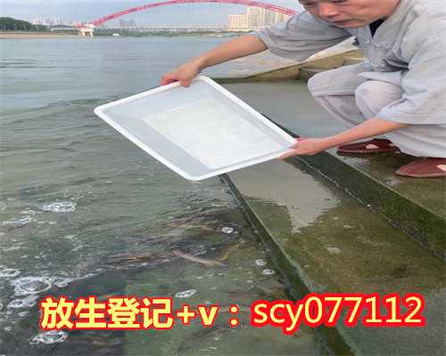 郑州哪里能放生黄鳝，娃娃鱼现身郑州污水处理厂可能是市民放生
