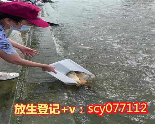 放生的鱼类惠州,惠州