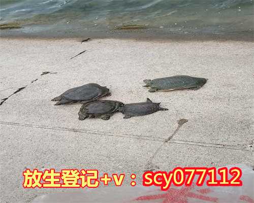 <b>珠江哪里放生财鱼，在</b>