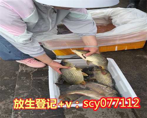 贵州放生能赎罪吗,贵州为什么人流后要放生草鱼,贵州哪里允许放生乌龟