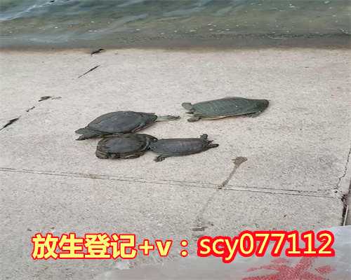 常州歌曲放生，常州冬季可以放生黄鳝么，常州北京什么地方能放生乌龟