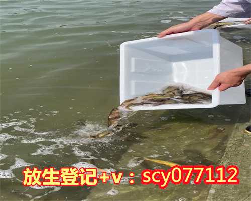 南京哪个河域适合放生大鱼，济群法师南京国展举办“财富与人生”公益讲座