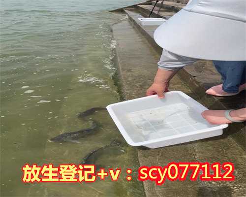 惠州把乌龟放生到河里