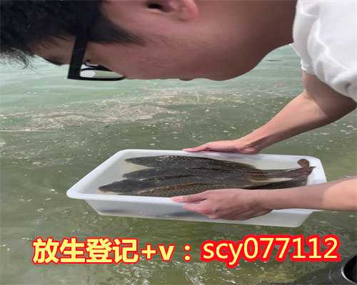 广东中华龟放生,广东小红鱼放生一年可以放几次,广东放生一般多久放一次