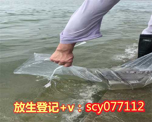 惠州北方冬天放生泥鳅