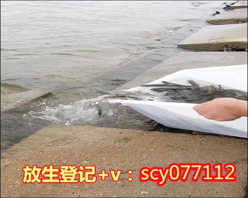 苏州哪里适合放生泥鳅鱼，苏州工业园区重元寺6月4日恢复开放
